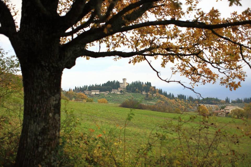 Inn Hotel Barberino di Mugello Eksteriør bilde